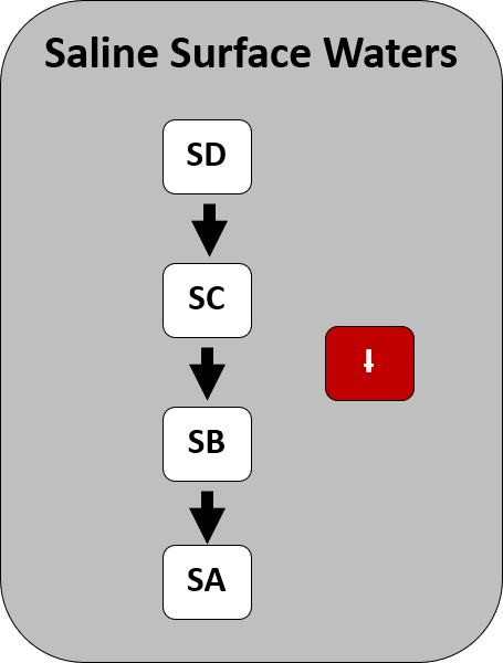 In some instances New York State saline surface water standards exclude class I from the hierarchy of class. The white-boxes represent the waterbody classes and the arrows indicate the direction that water quality standards are inherited through the class hierarchy. The red-box indicates that the waterbody class has been excluded from the hierarchy.