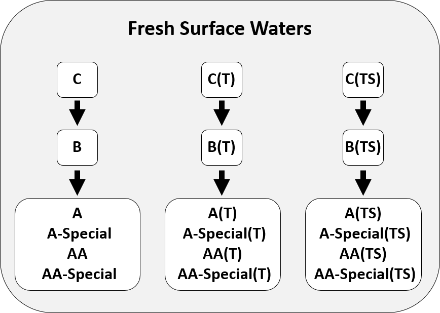 New York State's fresh surface water dissolved oxygen and ammonia as NH~3~ water quality standards for class C, B, A, A-Special, AA, and AA-Special differ among non-Trout, Trout (T), and Trout Spawning (TS) class variants.