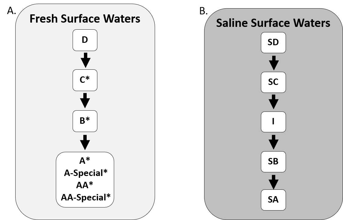 The standard waterbody class hierarchy of fresh (A) and saline surface waters (B) for which New York State's water quality standards are inherited in descending alphabetical order. The white-boxes represent the waterbody classes and the arrows indicate the direction that water quality standards are inherited through the class hierarchy. * Fresh surface water classes that have non-trout, trout (T), and trout spawning (TS) variants.